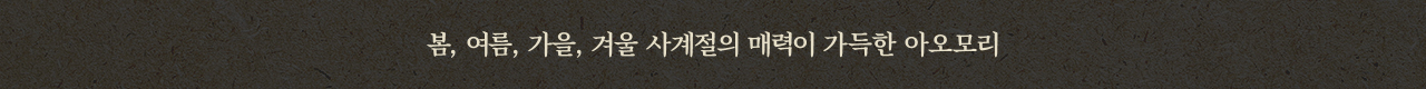 봄, 여름, 가을, 겨울 사계절의 매력이 가득한 아오모리