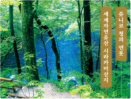 세계자연유산 시라카미산지 쥬니코 청의 연못
