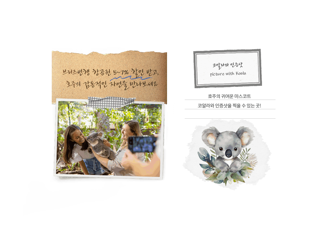 코알라와 인증샷 picture with Koala, 호주의 귀여운 마스코트 코알라와 인증샷을 찍을 수 있는 곳!