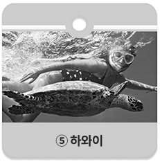 ⑤ 하와이
