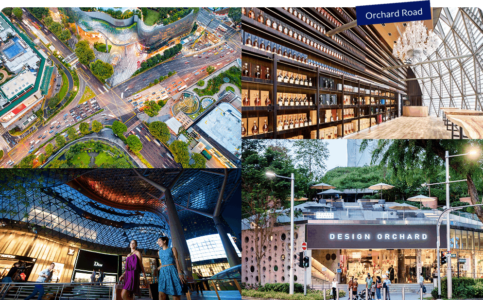 Orchard Road