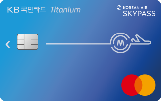 KB국민 스카이패스 티타늄카드