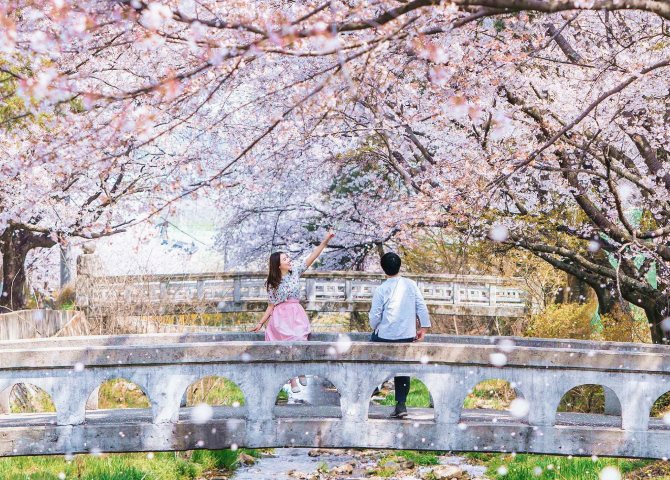 Spring scenery of Deokcheon Seowon with blossoming trees